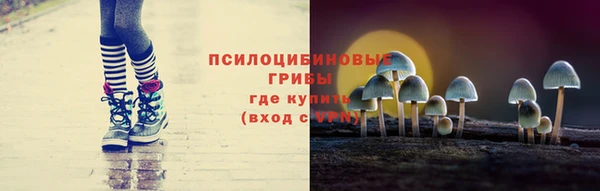 спиды Арсеньев