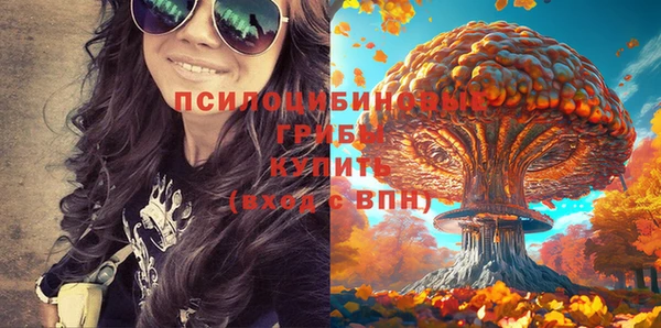 спиды Арсеньев